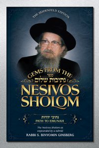 Gems from the Nesivos Shalom: Path to Emunah ***INTRODUCTORY PRICE***