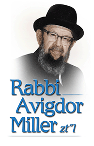 Rabbi Avigdor Miller DVDs