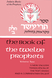 Twelve Prophets II