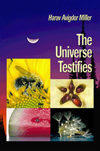 The Universe Testifies