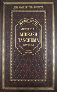 Metsudah Midrash Tanchuma vol. 5