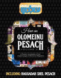 Have an Olomeinu Pesach - Vol. 2