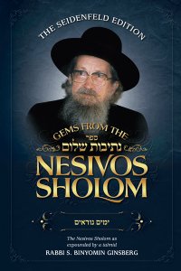 *SCRATCH AND DENT* Gems from the Nesivos Shalom: Yamim Noraim