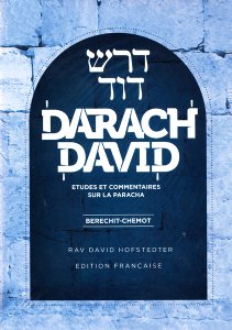 Dorash Dovid: 2 Volume Slipcased Set (French)