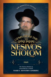 Gems from the Nesivos Shalom: Chanuka