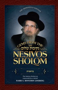 Gems from the Nesivos Shalom: Bereishis