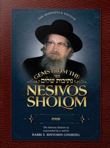 Gems from the Nesivos Shalom: Shemos