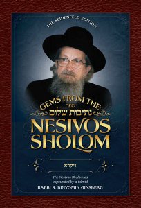 Gems from the Nesivos Shalom: Vayikra