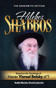 Hilchos Shabbos - Harav Yisroel Belsky zt"l