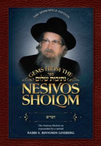 Gems from the Nesivos Shalom: Devarim