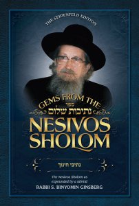 Gems from the Nesivos Shalom: Nesivei Chinuch