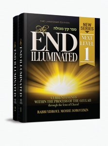 The End Illuminated: Next Level - 2 Volume set - HARD COVER