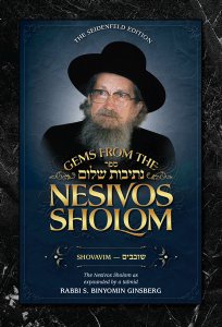 Gems from the Nesivos Shalom: Shovavim