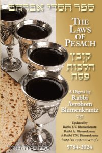Pesach Digest 2024- Rabbi Blumenkrantz