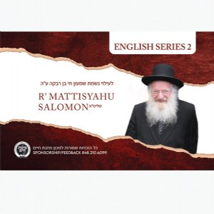 Rav Mattisyahu Salomon Vaadim - English Series 2 - USB